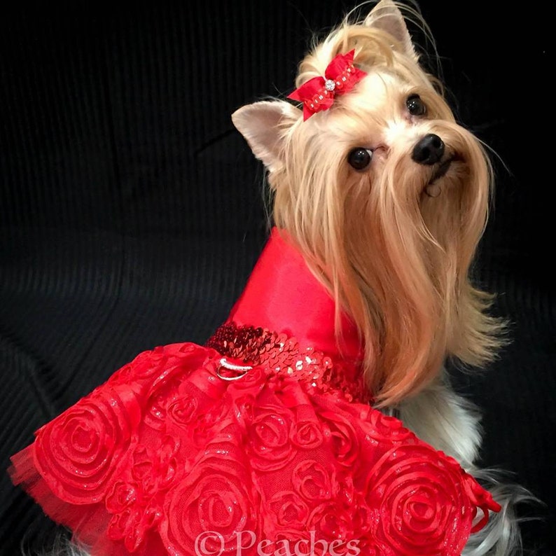 Red Swarvoski Dog Dress Red Dog Harness Dress Red Dog Tutu Etsy