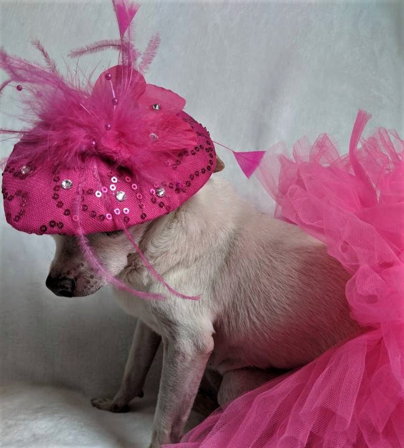Dog Hat Fuchsia Dog Hat Dog Fascinator Dog Head Wear Dog Etsy