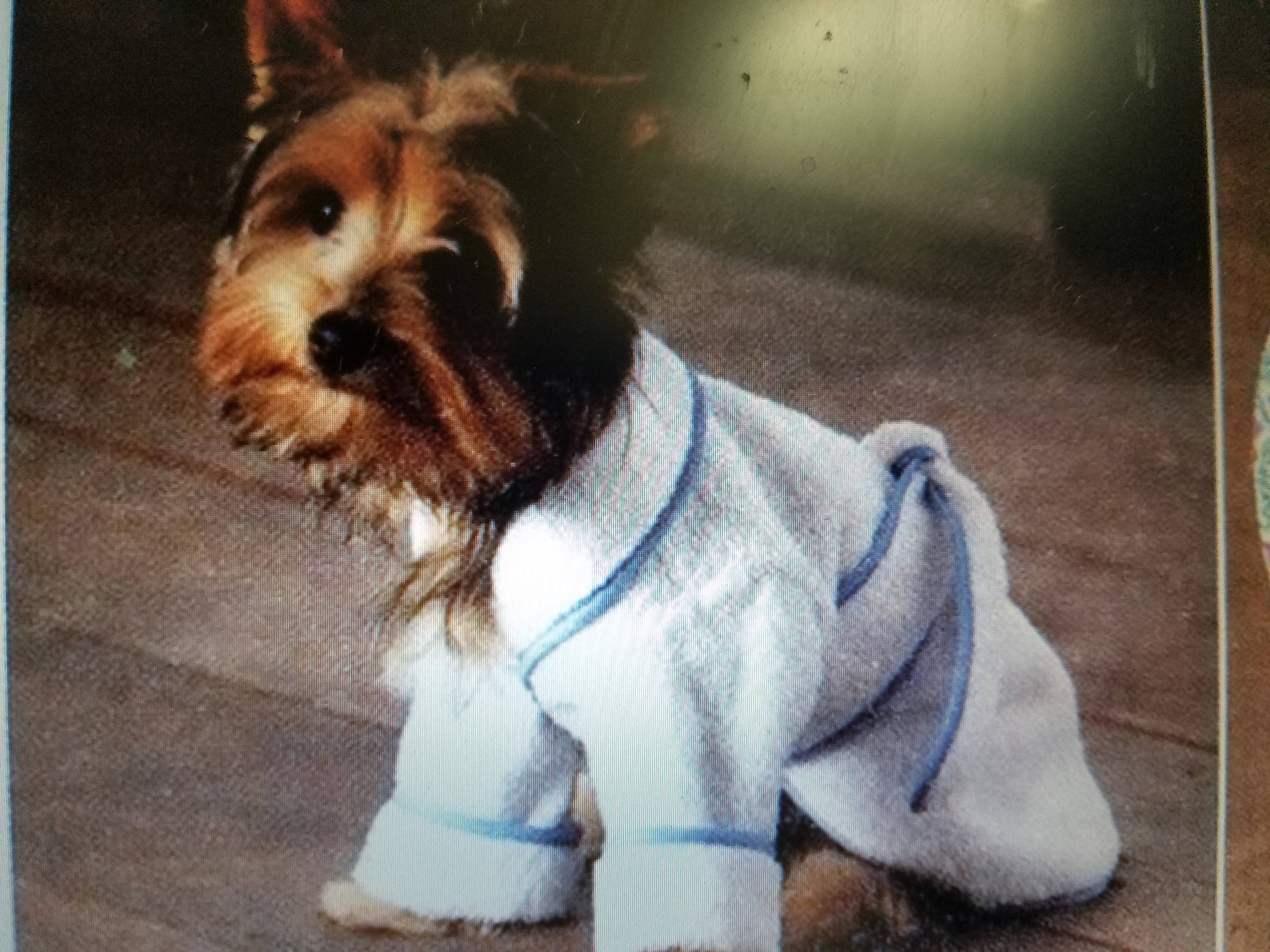 Personalized Male Dog Bathrobe, Canine Bathrobe, Cotton Dog Bathrobe ...
