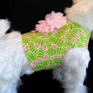 May include: A white dog wearing a green and pink floral dog harness with a pink flower accent.