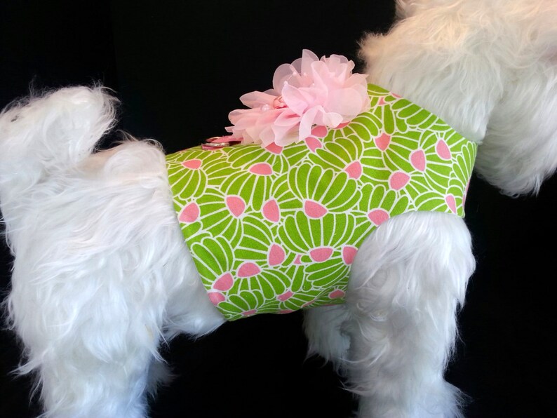 May include: A white dog wearing a green and pink floral dog harness with a pink flower accent.