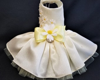 Lazy Daisy Harness Dress XXSmall Dog Dress to X4 Large Dog Dress, Dog Dresses. Dog Clothes, Yellow Dog Dress, Designer Dog Dress.