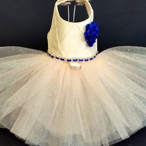 Peach and Blue! XXSmall Dog Dress to 4XLarge Dog Dresses, Dog Tutu, Dog Harness, Harness Dress, Pet Clothes, Cat Dress, Pet Apparel.