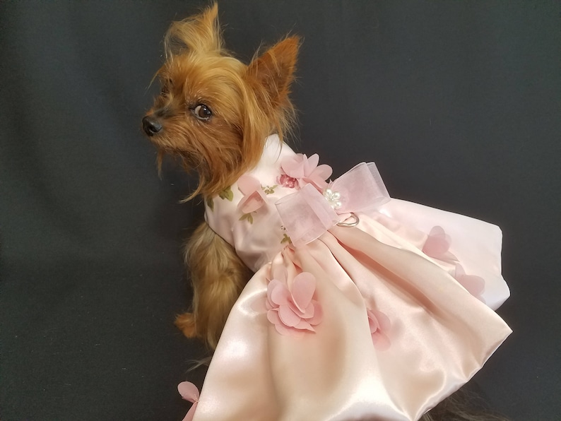 Dog Dress, Peachy Pink 3 D Flowers, Dog Tutu, Dog Harness Dress, Harness Dress, Pet Clothes, Pet Apparel. image 5