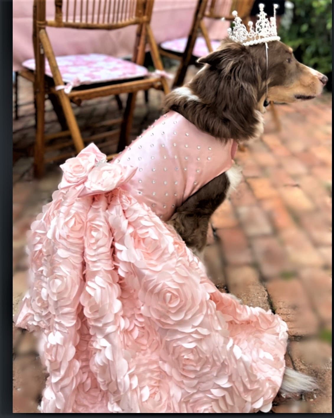 slim fit dress slacks Luxury design Pearl Rose Fur dog Princess Dress – Rocky & Maggie's main image 0