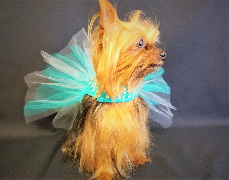 Teal Dog Dress, Dog Harness Dress, Dog Wedding Dress, Dog Tutu, Couture Dog Dress. image 5