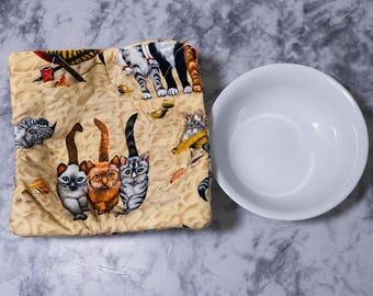 Microwavable cat soup bowl holder & ice cream bowl holder. Get well soon gift.