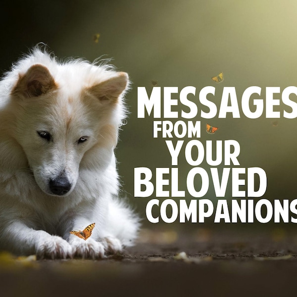 Psychic Pet Reading With Animal Spirit Guides - Messages From Past and Present Companions - Emotional & Spiritual Understanding of Your Pets