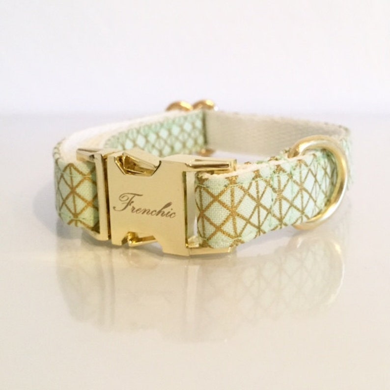 Adjustable dog collar Mint Etsy