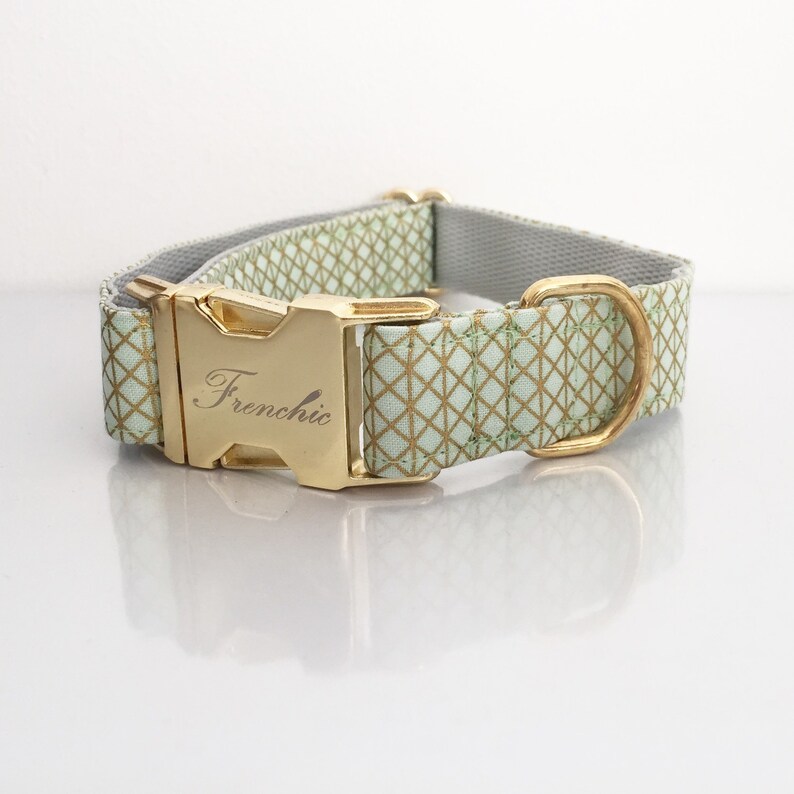 Adjustable dog collar Mint Etsy