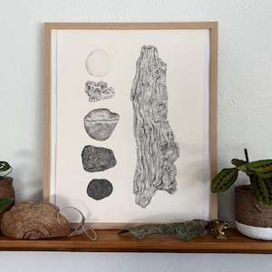 Nature Value Study Art Print, black and white nature print, wood grain artwork, rock drawing, bark drawing, value artwork, graphite rock art