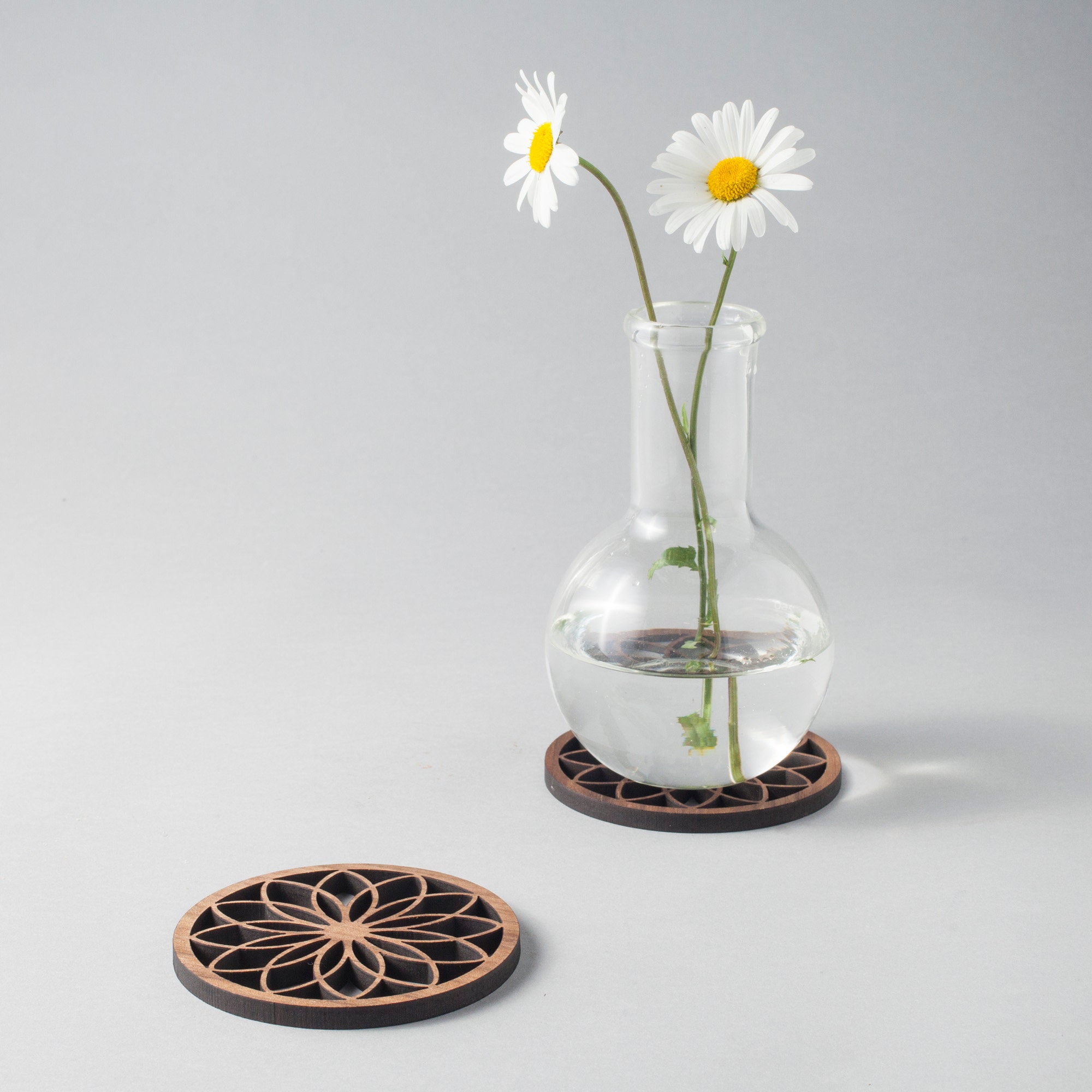 walnut gift for boyfriend generative design ornithology Secret Santa anniversary wood coasters Birds nest gift boxed set