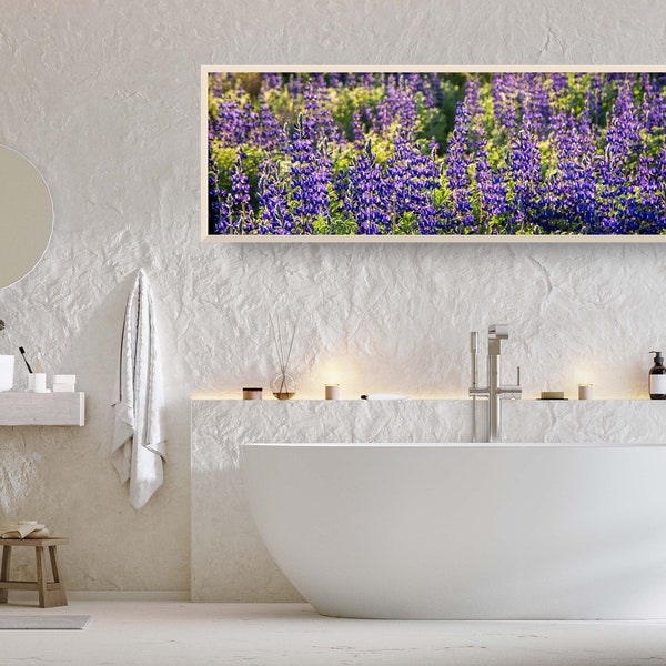 Panoramic Wild Israeli Holy Land Purple Flowers - Lupine Turmus Spring Flowering Field Landscape