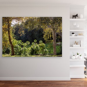 Israeli Green Forest Trees at Sunset Photography Print