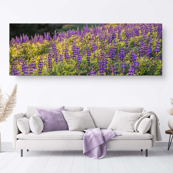 Panoramic Wild Israeli Purple Flowers Landscape - Lupine Turmus Flowering Field Holy Land