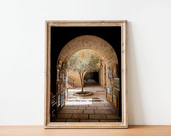 Jerusalem Old City Street - Pedestrian Street with Olive Tree Arch - Jewish Quarter