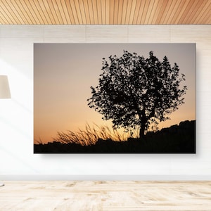 Orange Sunset Tree Landscape Photography - Holy land Israeli Tree & Wild Crops on the Hill