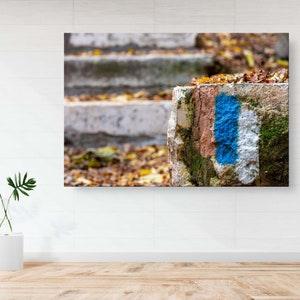 Pode incluir: Um pilar de pedra com um desenho pintado em azul, branco e rosa. O pilar é coberto de musgo e fica em frente a uma escada de concreto. Folhas caídas espalhadas.