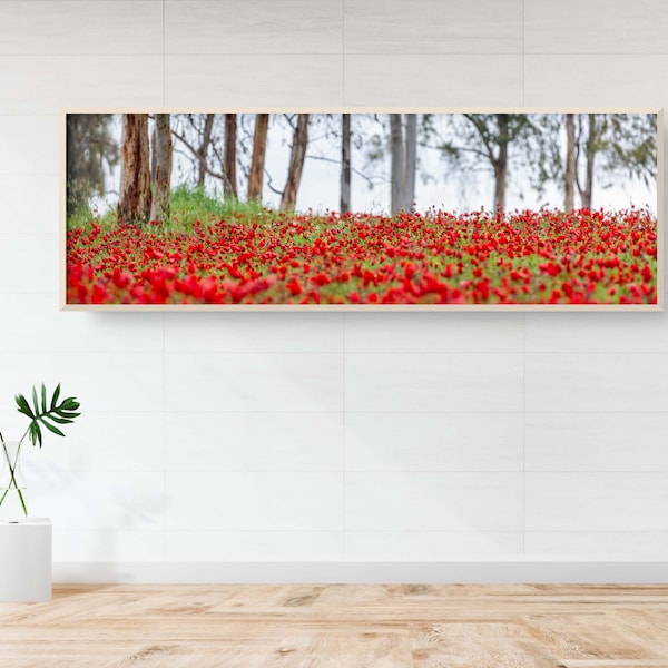 Panoramic Israeli Holy Land Red Flowers and Tree Trunks - Wild Anemones Nature Wall Art Decor