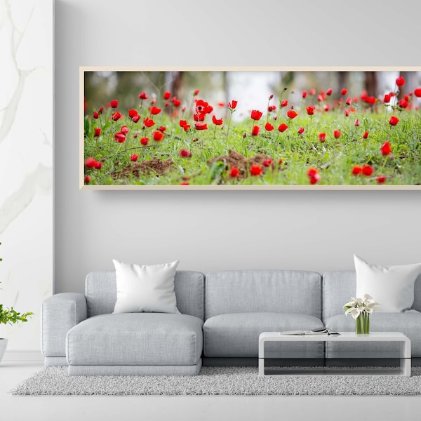 Panoramic Red Wild Anemone Flowers and Trees - Israeli Holy Land Country Wall Art Decor