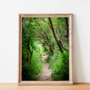 Galilee Landscape Print: Holy Land Israeli Green Nature Path, Galilee Home Decor