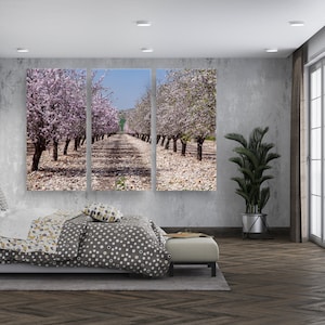 Holy Land Israeli Pink White Blooming Trees Landscape - 3 Panel Split, Triptych Canvas Wrap Print - Almond Blossom Flowers Fields