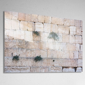 Jerusalem Kotel Western Wall with Bush