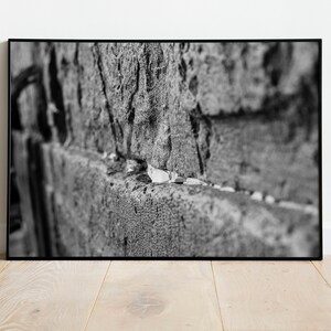 Black and White Jewish Kotel Wall Fine Art Print - Western Wall with Prayer Hand & Paper Notes between Stones - A Wailing Wall Kosel Canvas