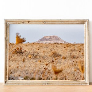 Izraelska fotografia krajobrazowa Mount Herodes Gold z zachodzącym słońcem w polu - Herodion Gush Etzion Park