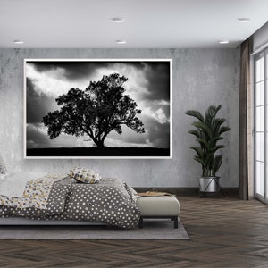 The Tree, the Dramatic Sky and the Swing -  Black and White Israeli Holy Land Country