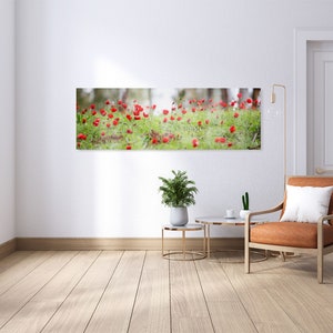 Panoramic Red Wild Anemone Flowers and Trees - Israeli Holy Land Country Wall Art Decor