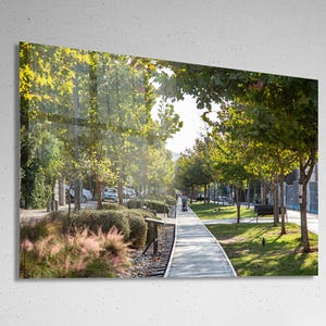 May include: A paved walkway lined with trees and lush greenery. The walkway is surrounded by a grassy area and a row of trees on either side. The trees are in full bloom, with green leaves and branches reaching up towards the sky. The walkway is empty, except for a single person walking in the distance.
