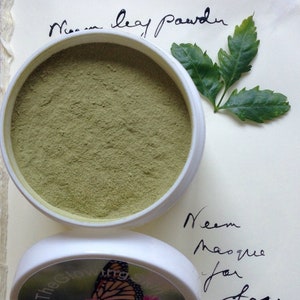 Neem Face Mask: Bentonite Clay, Basil Extract - 4 oz