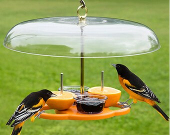 Jelly Oriole Feeder Etsy