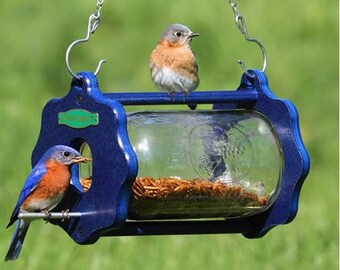Mealworm Bluebird Feeder Etsy