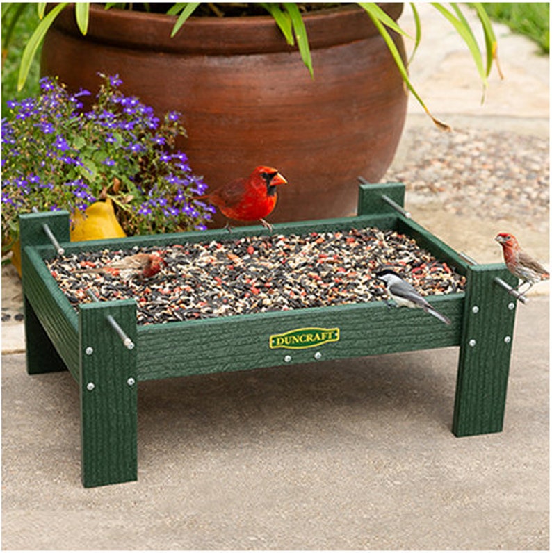 Open Air Ground Platform Feeder Etsy