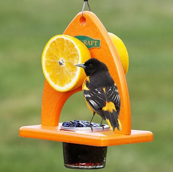 Oriole Delight Feeder Etsy