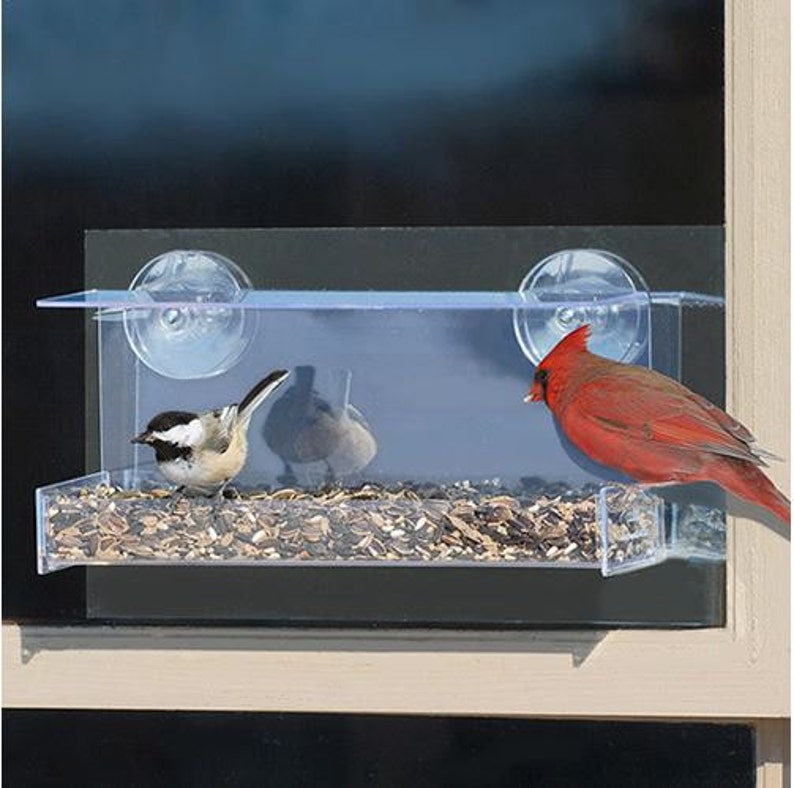 Duncraft Cardinal Mirrored Feeder Etsy