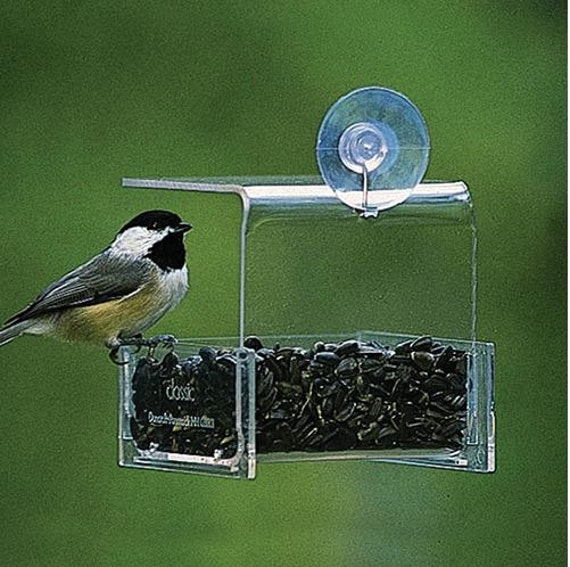 Duncraft Mini Window Feeder Etsy