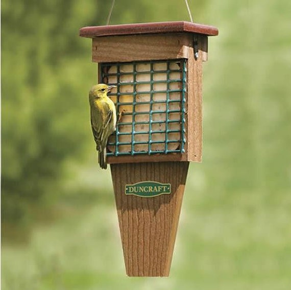 Eco Strong Tail Prop Suet Feeder Etsy