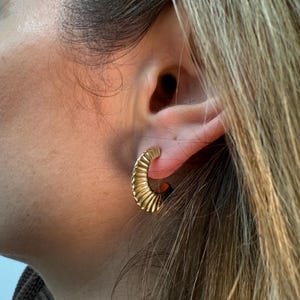 14K Yellow Gold Polished 19x6mm Half Hoop Graduated Scalloped C-Hoop Earring with Push Back Clasp, Hoop Earrings, Real Gold Earrings, Women