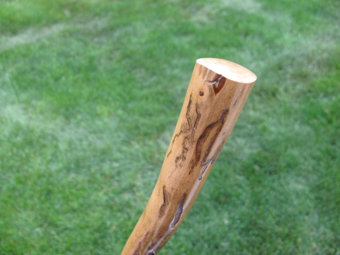 Walking Stick 408 Nice Bug Tracking - Etsy