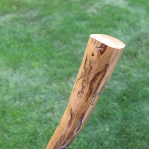 May include: Close-up of the top of a wooden walking stick with a natural brown finish. The wood has a unique grain pattern and is slightly weathered.
