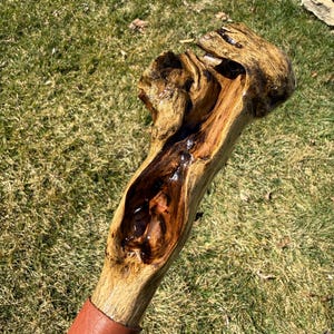May include: A handcrafted wooden walking stick with a unique, organic shape. The top is a dark, textured brown, while the shaft is a lighter tan color. A brown leather grip is wrapped around the base of the shaft. The stick is resting on green grass.