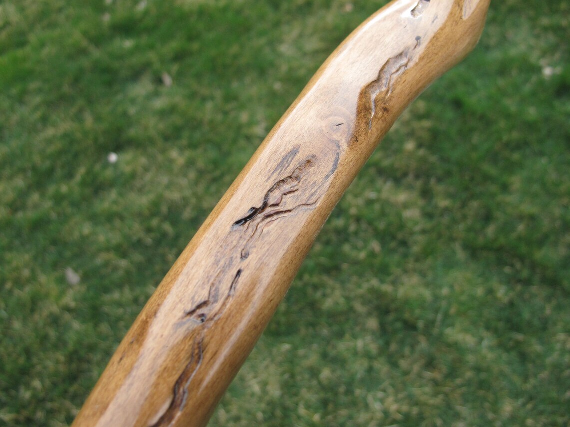 Walking Stick 408 Nice Bug Tracking - Etsy