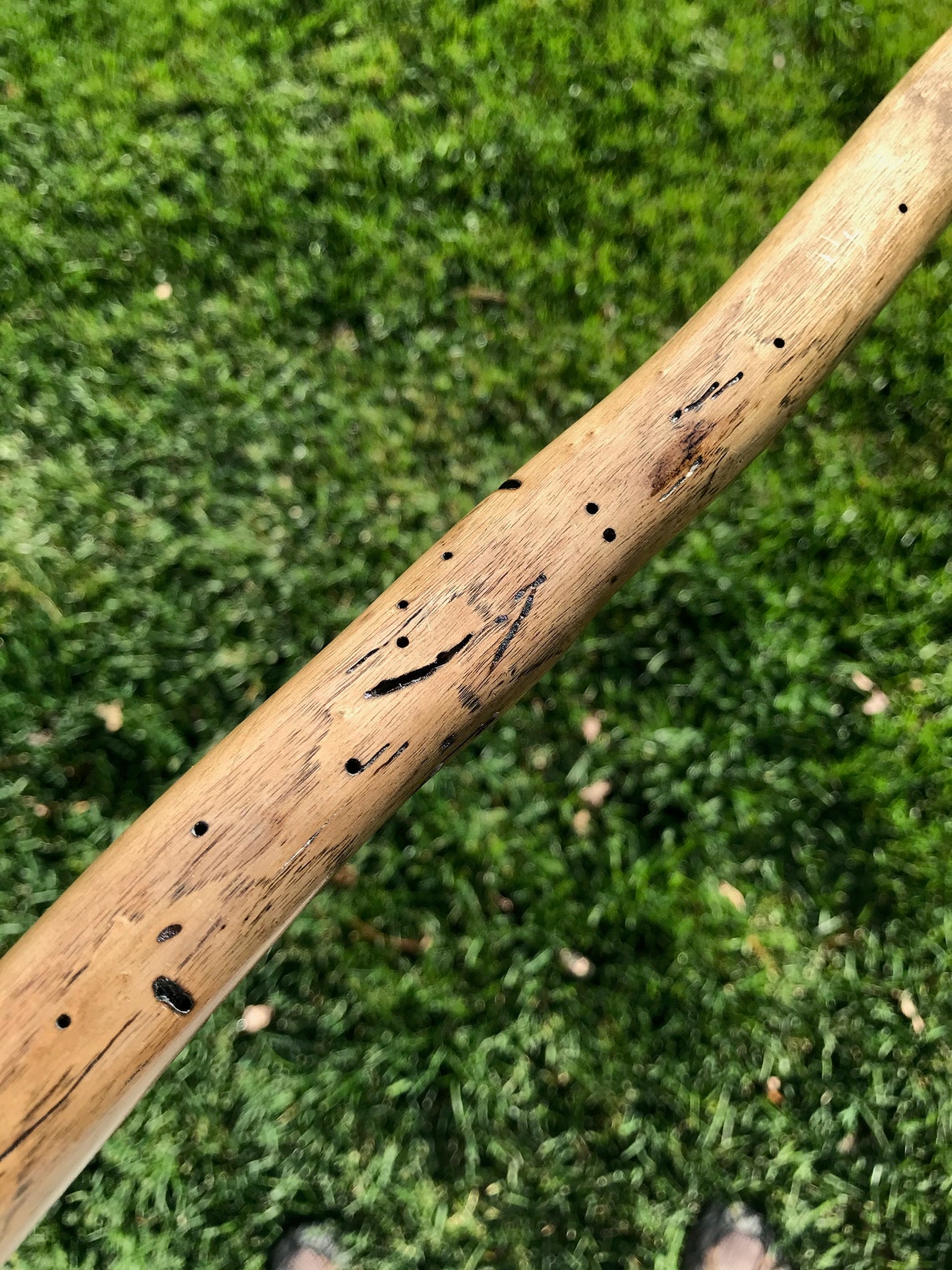 Walking Stick 478 Rough Cut Top and Leather Grip Etsy