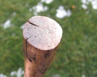 Walking Stick #722 Oak of Many Curves - Etsy