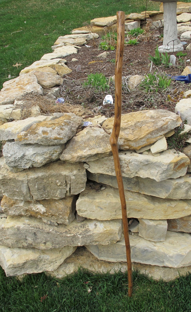 Walking Stick 408 Nice Bug Tracking - Etsy