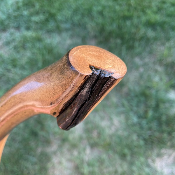 Walking stick #611  Bradford Pear with branch inclusion