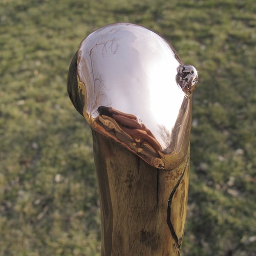 Walking Stick #722 Oak of Many Curves - Etsy